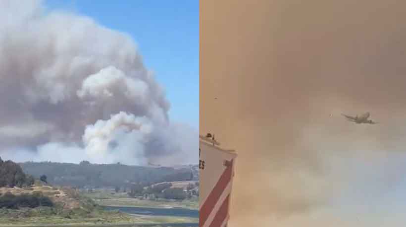 Alerta Roja por incendio forestal en Santo Domingo: al menos 200 hectáreas afectadas 