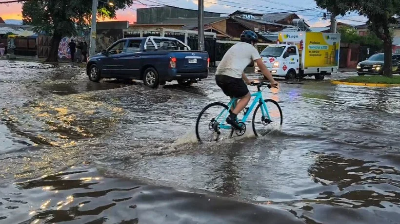 Temporal: delegado de la Región Metropolitana confirmó inicio de levantamiento de ficha FIBE